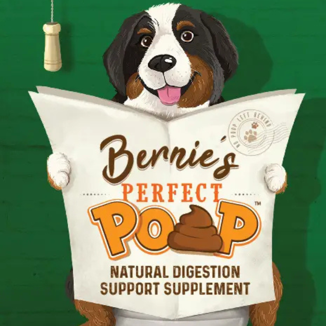 Bernie's Perfect Poop