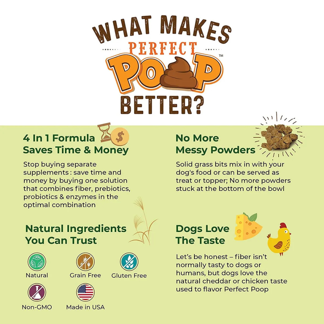 Bernie's Perfect Poop