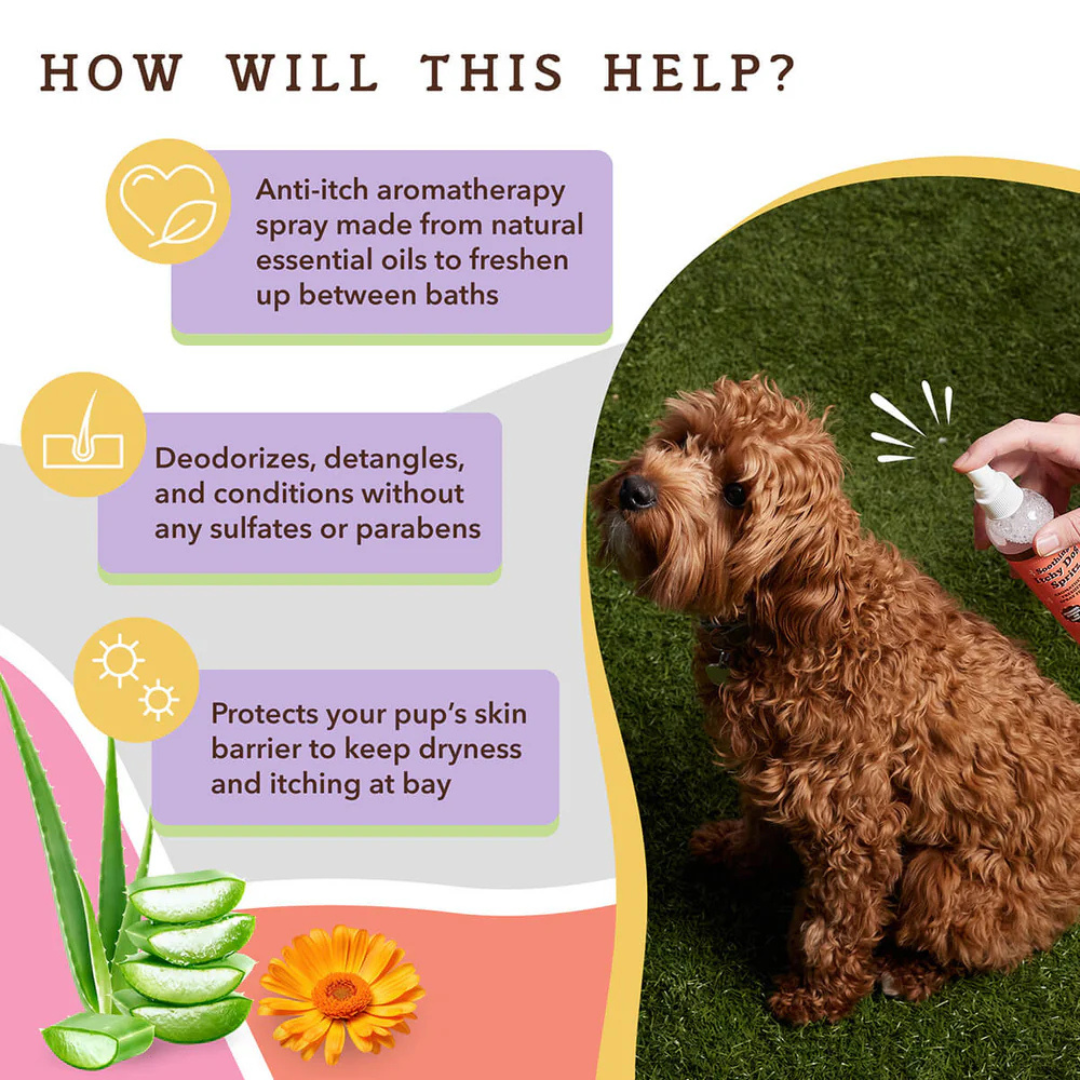 Soothing Itchy Dog Spritzer