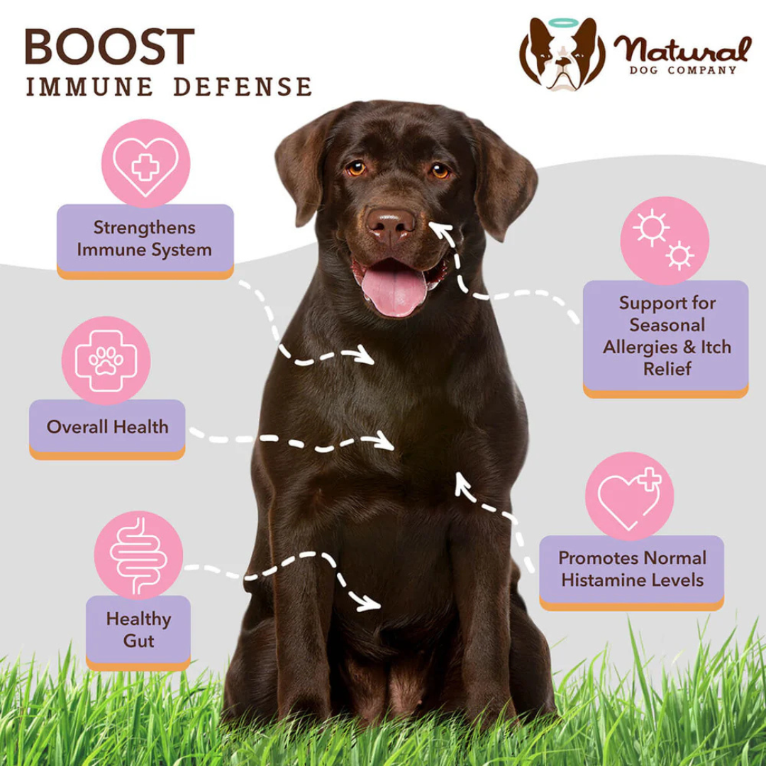Aller-Immune Supplement Chews