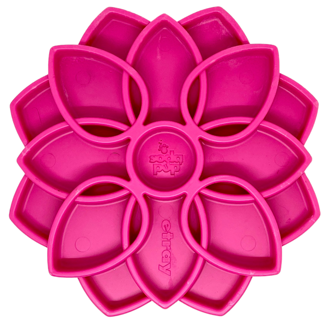 Mandala Slow Feeder