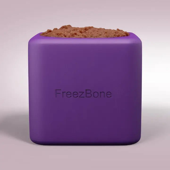 FreezBox - XL Purple
